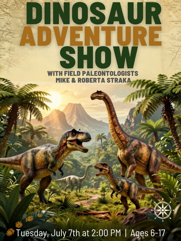 Dinosaur Expedition Adventure Poster